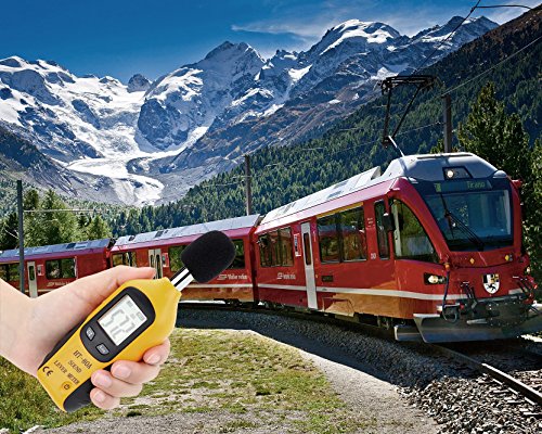 Mengshen Digital Sound Level Meter, Handheld Audio Noise Meter Tester with LCD Display Measuring 30-130dB (9V Battery Included)