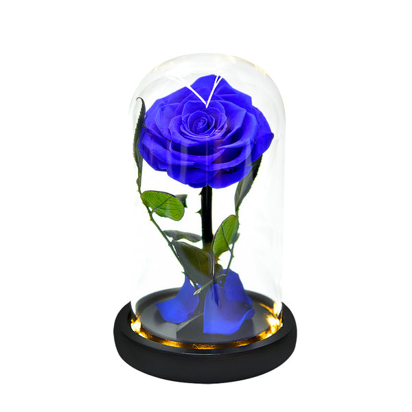 ThreeH Blue Rose Preserves Real Rose in Glass Dome Gift Eternal Flower Creative Gift for Birthday Mother's Day