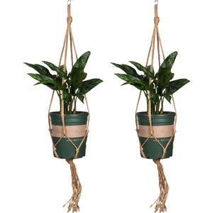 ThreeH Plant Hangers Planters Flower Pot Holder Macrame Planter Basket Rope Flower Pot Holder Designed with Bohemian Style Hemp Rope 2 Pack