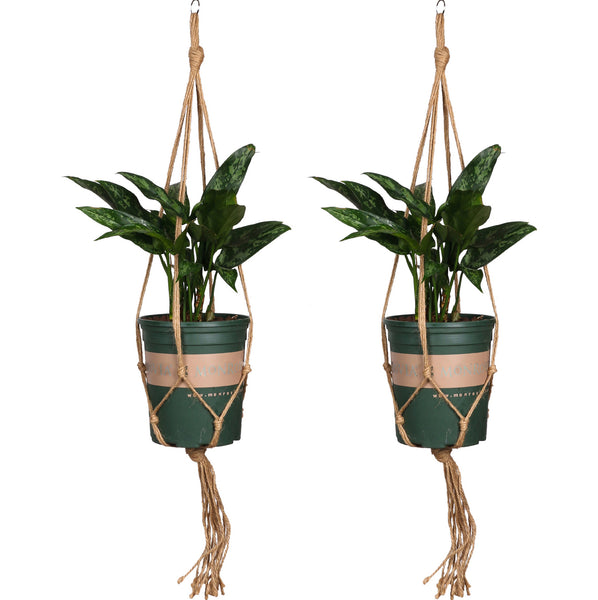 ThreeH Plant Hangers Planters Flower Pot Holder Macrame Planter Basket Rope Flower Pot Holder Designed with Bohemian Style Hemp Rope 2 Pack