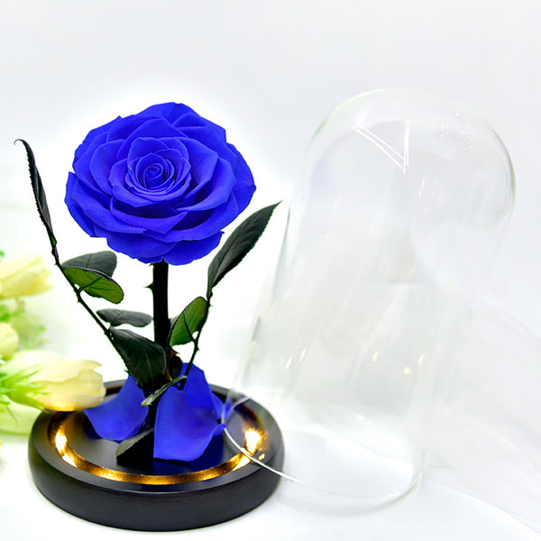 ThreeH Blue Rose Preserves Real Rose in Glass Dome Gift Eternal Flower Creative Gift for Birthday Mother's Day